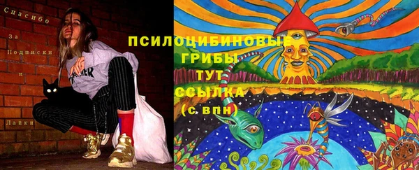 шишки Алексин